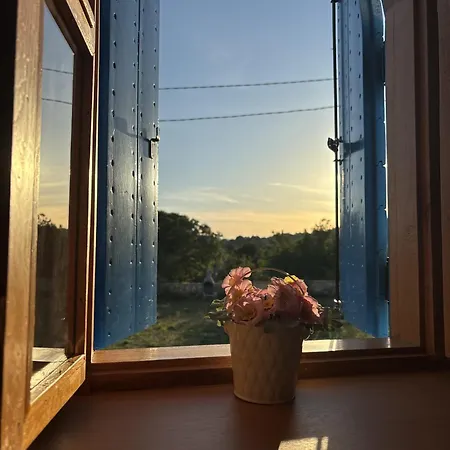 Cherry With Pool * Vrsine